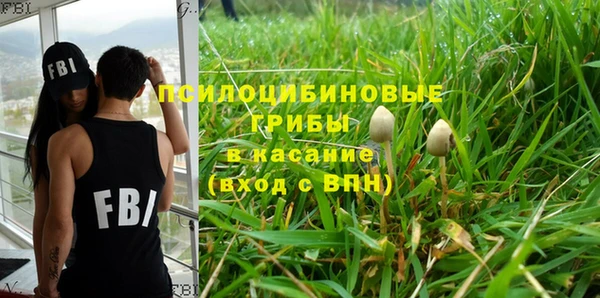 наркотики Бородино