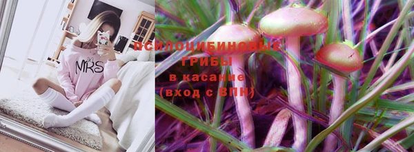 наркотики Бородино