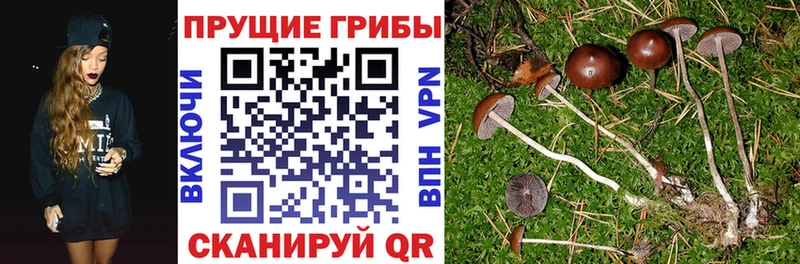 Галлюциногенные грибы GOLDEN TEACHER  Канаш 