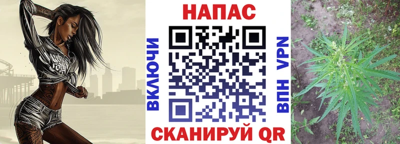МАРИХУАНА гибрид  Канаш 